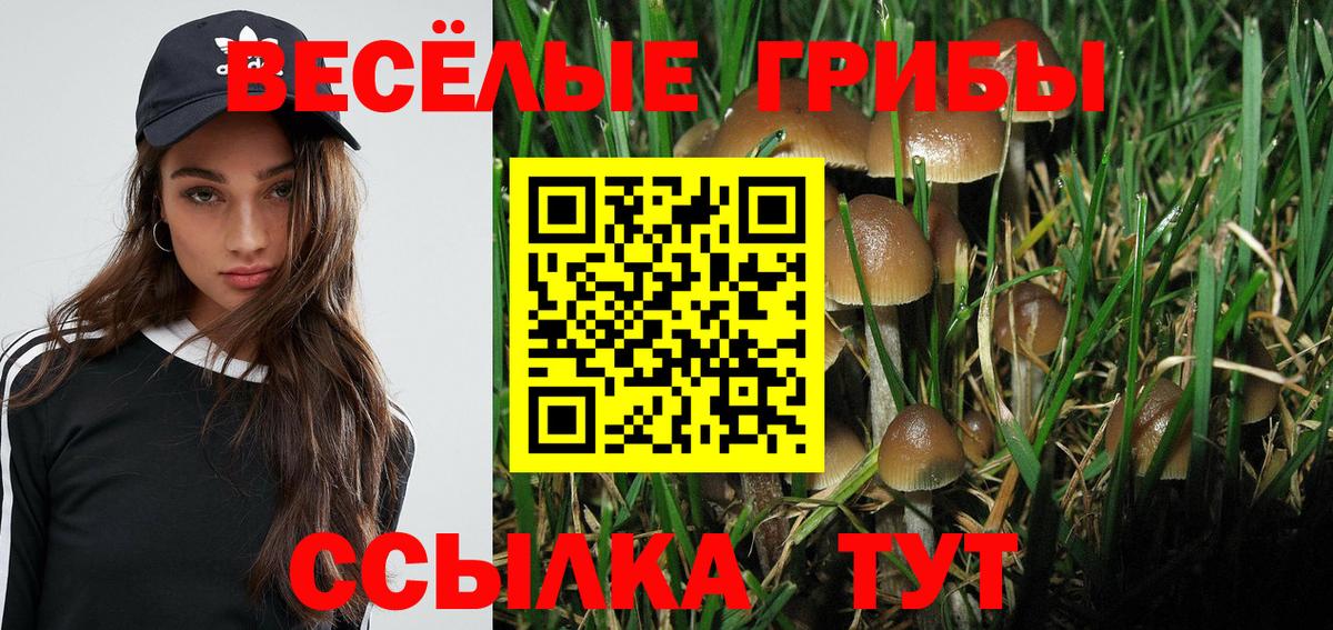 Электросталь  Псилоцибиновые грибы GOLDEN TEACHER  Вход с VPN  Псилоцибиновые грибы MAGIC MUSHROOMS 