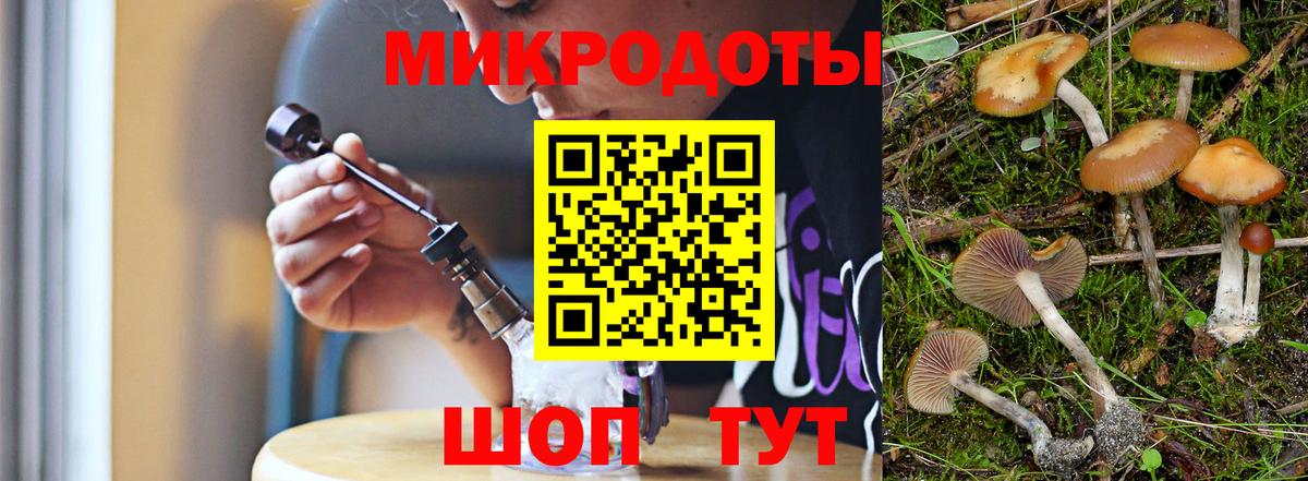 Галлюциногенные грибы Cubensis Электросталь
